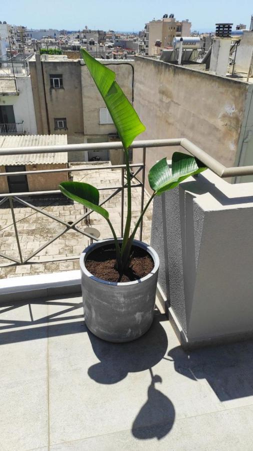My Home In Greece Атина Екстериор снимка